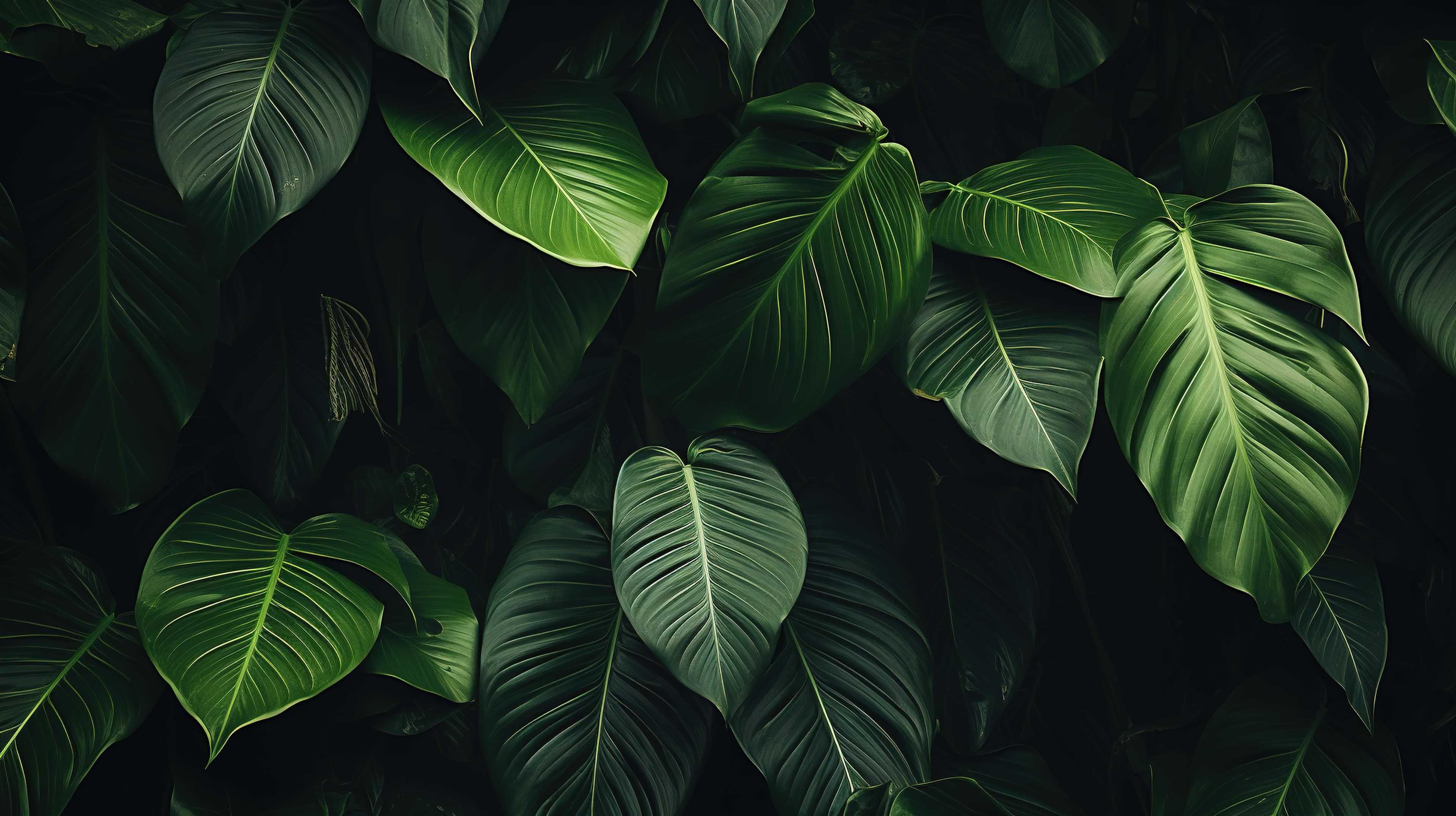 Excelencia y Cumplimiento